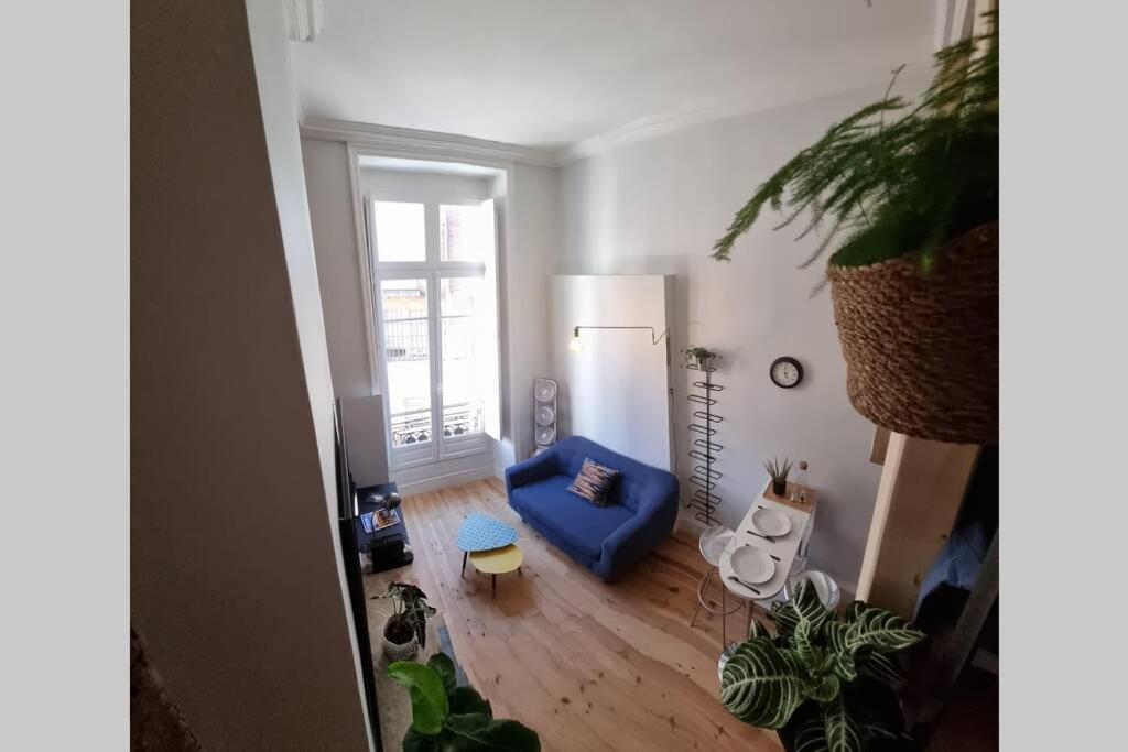 T1 Bis Cosy- Hypercentre - Clim - Metro - Wifi Lejlighed Toulouse Eksteriør billede